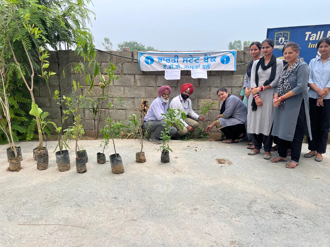 By the branch manager of State Bank of India, saplings were planted